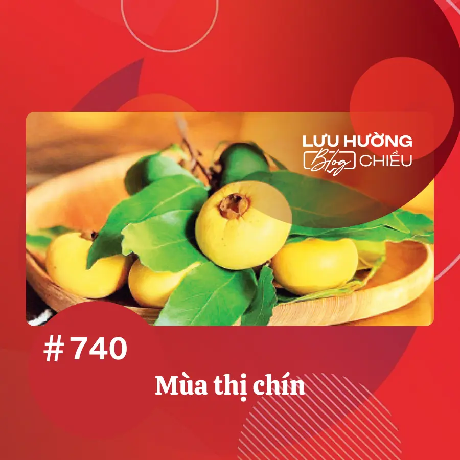 Mùa thị chín